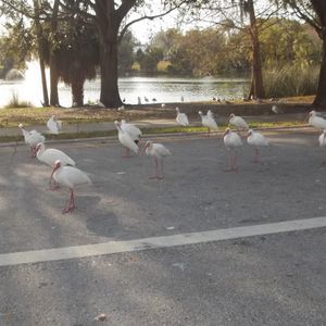 Meet your Posher, Doug